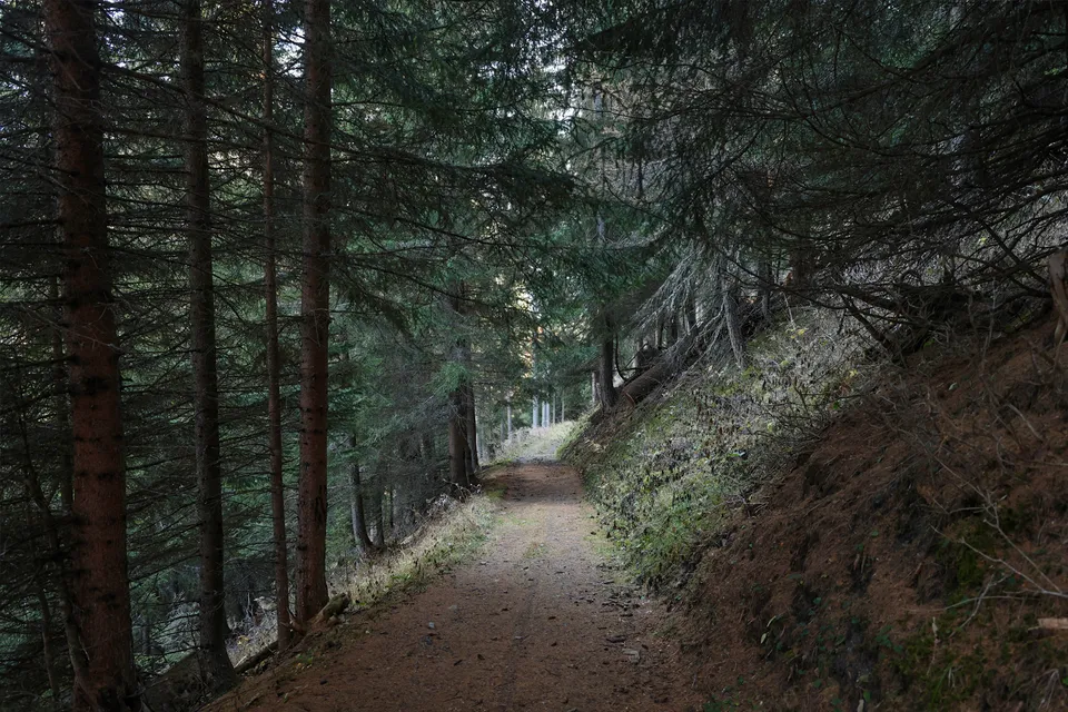 Wanderweg Richtung Chamanna d’Ela